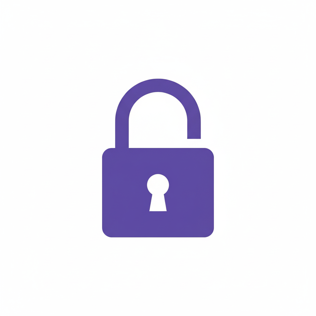 secure icone